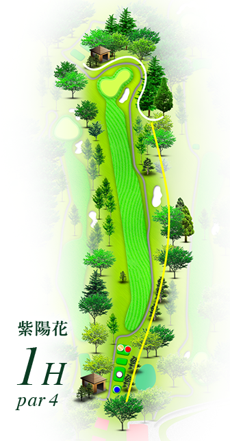 紫陽花紫陽花1h par4