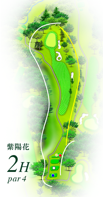 紫陽花2h par4