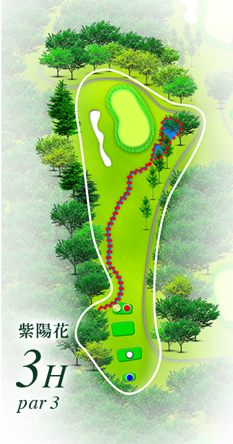 紫陽花3h par3
