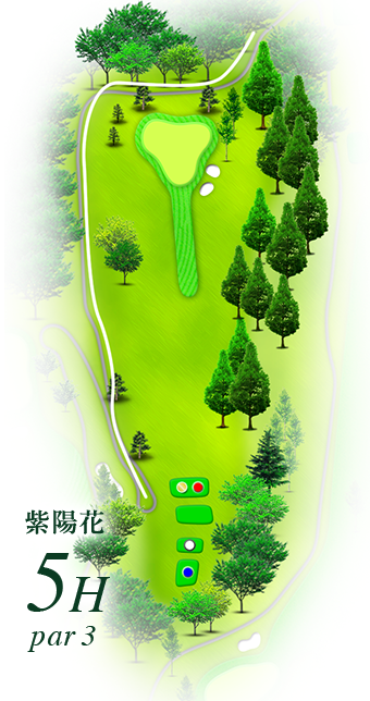 紫陽花5h par3