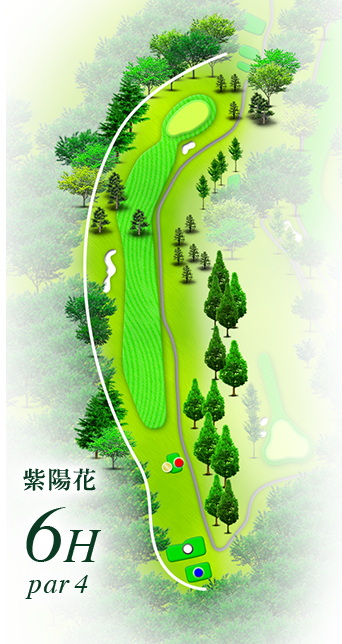 紫陽花6h par4